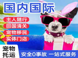忻州航空运输国际宠物托运 【国